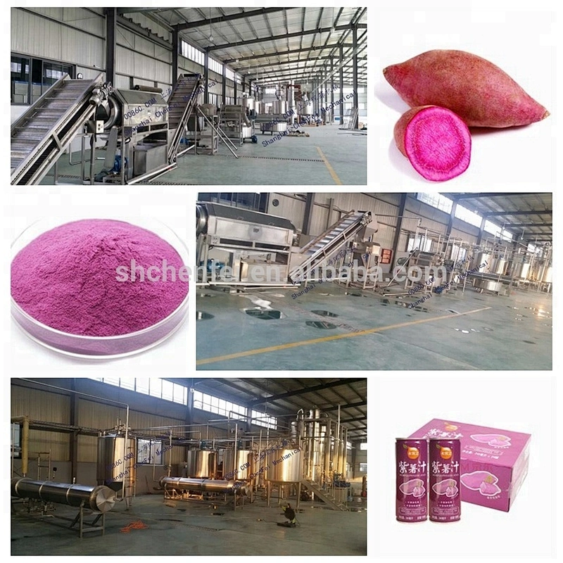 candied fruit and vegetable purple sweet potato powder processing line