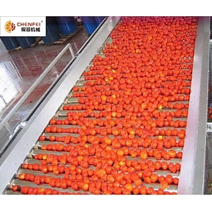 Small tomato sauce paste production line