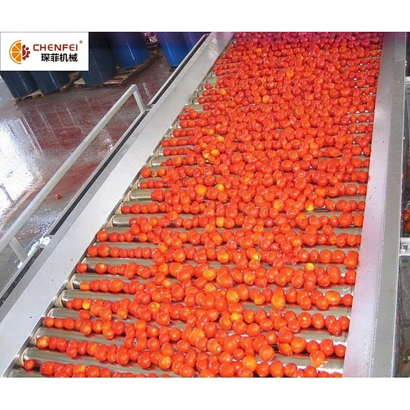 Small tomato sauce paste production line