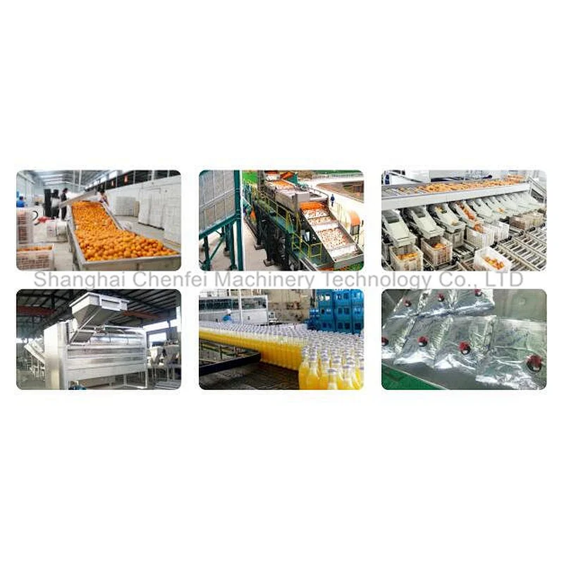 dried mango kiwi fruit powder sugar juice processing machine plant
