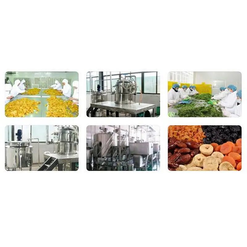 turnkey preserved fruit and vegetable small candied fruit processing project line