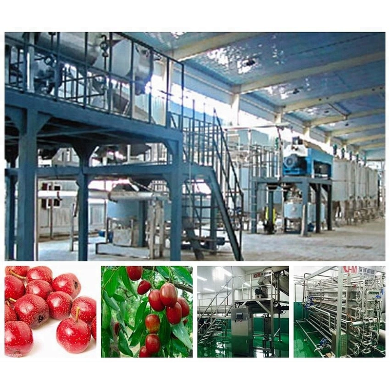 Turnkey NFC concentrated jujube and date fruit juice production line