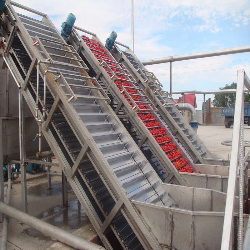 Pear  beverage  processing bucket elevator