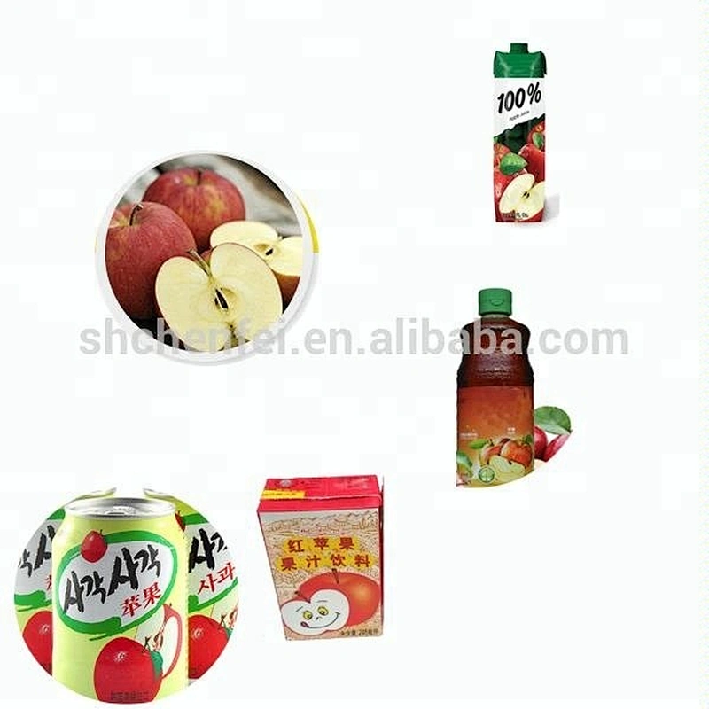 turnkey dragon small fruit and vegetable juice processing line plant