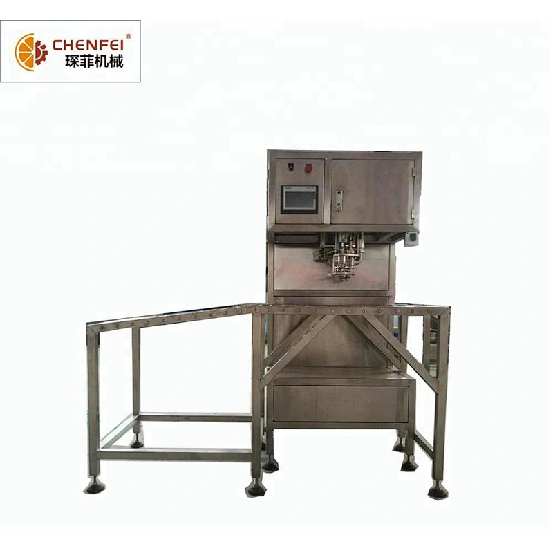 BIB automatic juice and vegetable liquid packaging  filling machine