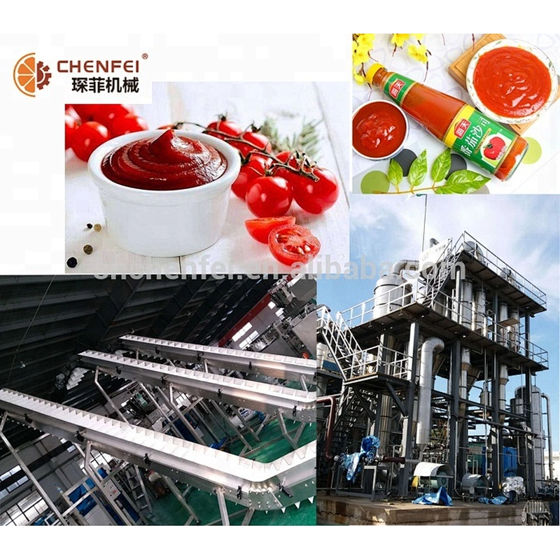 500-600T/DAY toamto paste production line automatic /tomato paste processing  line kechup