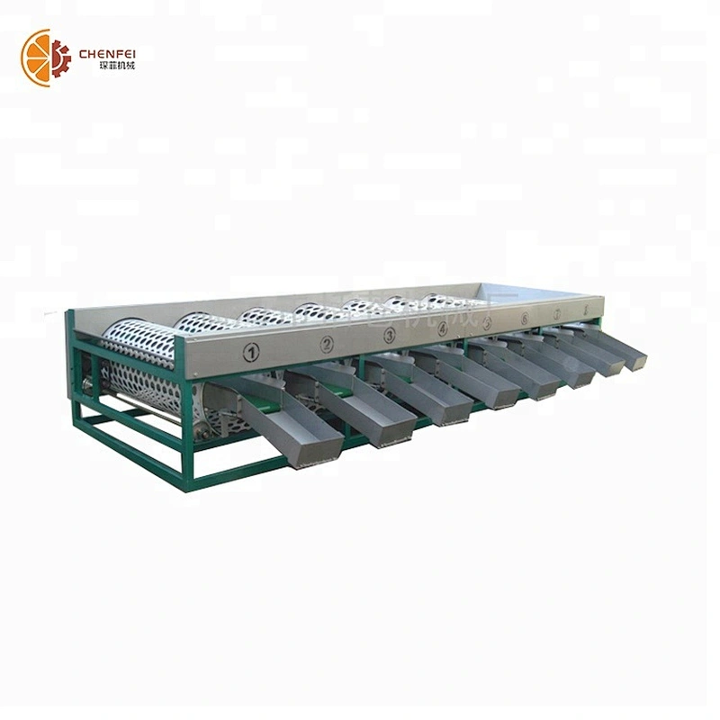 Industrial Sorting Machine Tomato Sorting Grading Machine Fruit and Vegetable Sorting Conveyor Equipment
