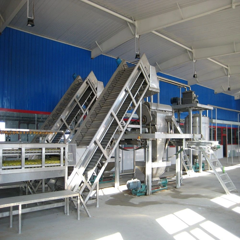 Pear  beverage  processing bucket elevator
