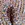 jacquard silk fabric