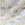 wholesale dresses in jacquard fabric