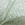 100% cotton fabric