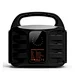 pure sine wave portable power station