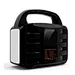 pure sine wave portable power station