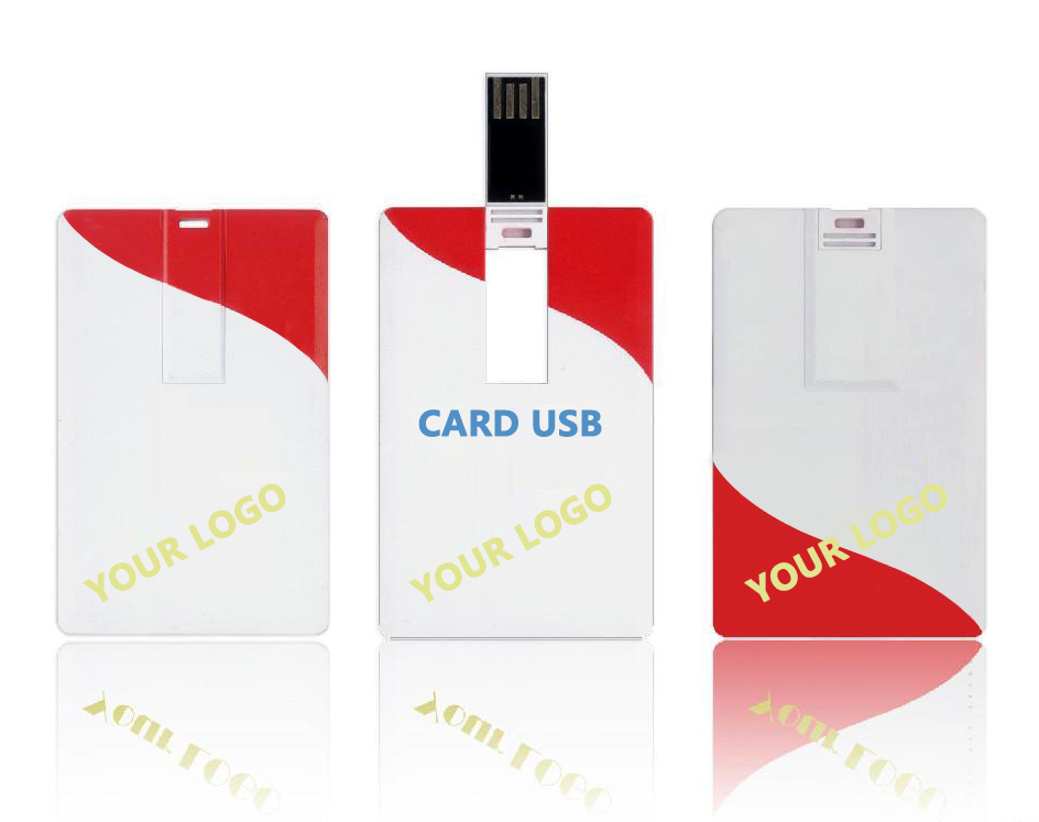 Card Type USB Flash Drive supplier
