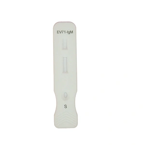 Antigen diagnostic kit