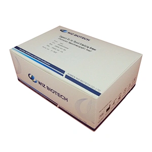 TSH Rapid Test Kits Thyroid Stimulating Hormone Blood Tests Device
