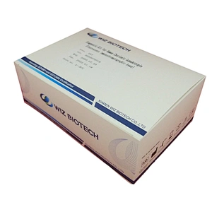 Factory directly Hcg Injection Pregnancy Test Cassette Procalcition Human Chorionic Gonadotropin
