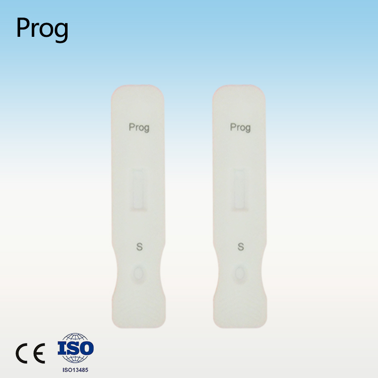 Home Prog Rapid Test Kits