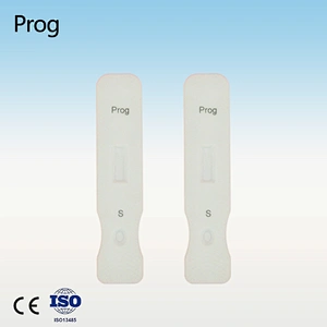Home Prog Rapid Test Kits
