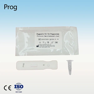 Home Prog Rapid Test Kits