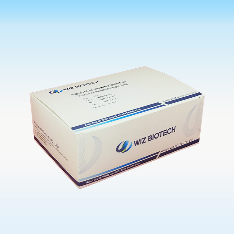 One step Ck-MB rapid test
