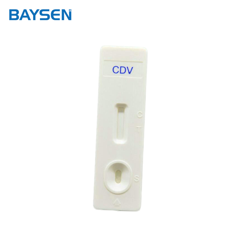 high quality veterinary CDV Rapid test Canine