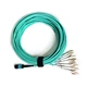 MPO MTP Harnesses Fanout Patch Cords