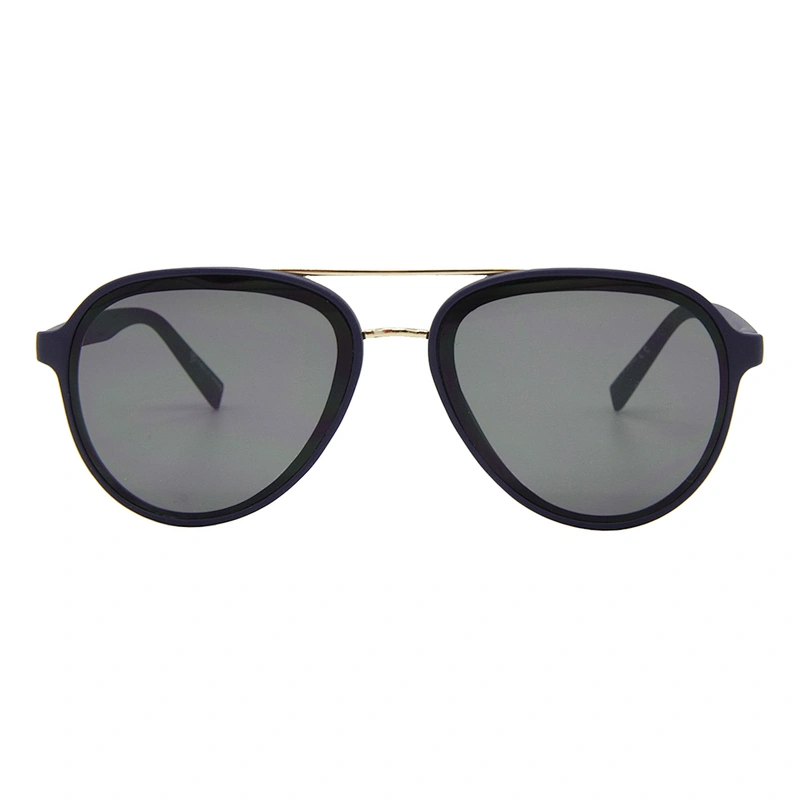 Custom logo double bridge plastic pilot unisex sunglasses