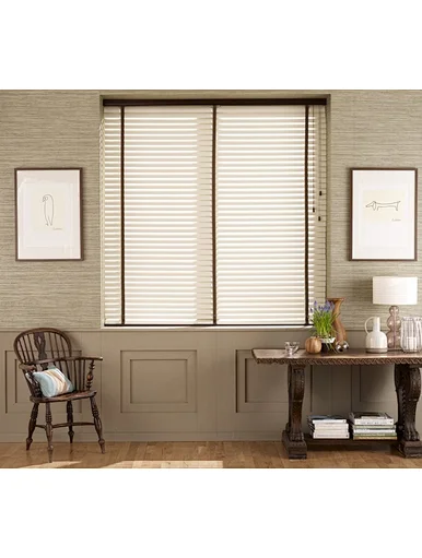 venetian blinds