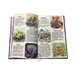 Comic book english