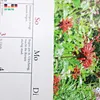 wall calendar printing