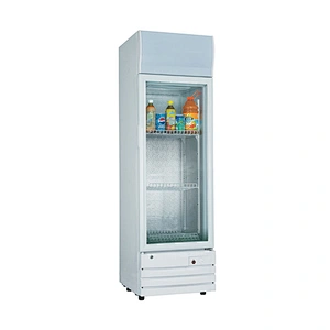 DC12V/24V Solar Showcase