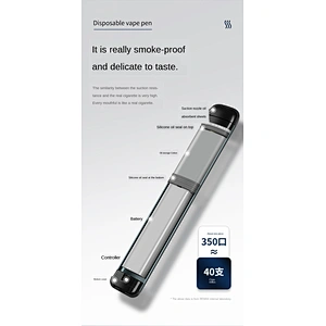 Ready to use and throw atomized disposable electronic cigarettes lighter