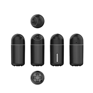 Hot selling cheap custom exclusive original formaldehyde purification liquid portable mini car air purifier