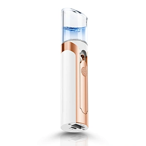 Relieve Face Dryness Electric Portable Mini Nano Mist Sprayer Facial