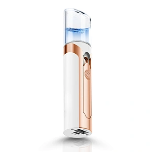Relieve Face Dryness Electric Portable Mini Nano Mist Sprayer Facial
