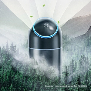 Hot selling cheap custom exclusive original formaldehyde purification liquid portable mini car air purifier