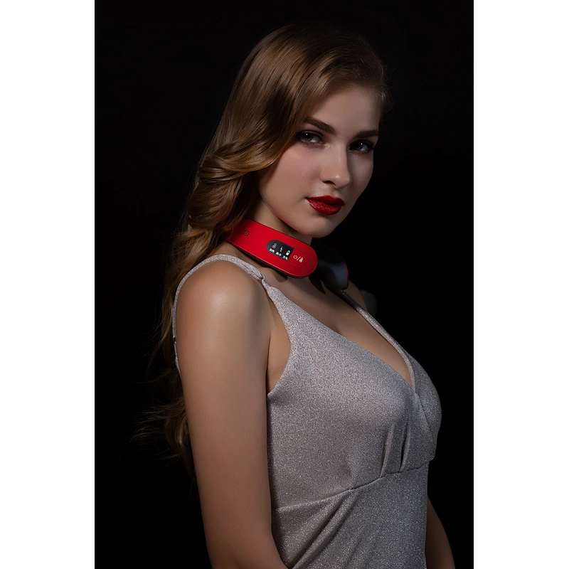 portable neck massage instrument PG-2601B18