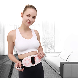 PG-2645L Intelligent Waist and Abdomen Massager