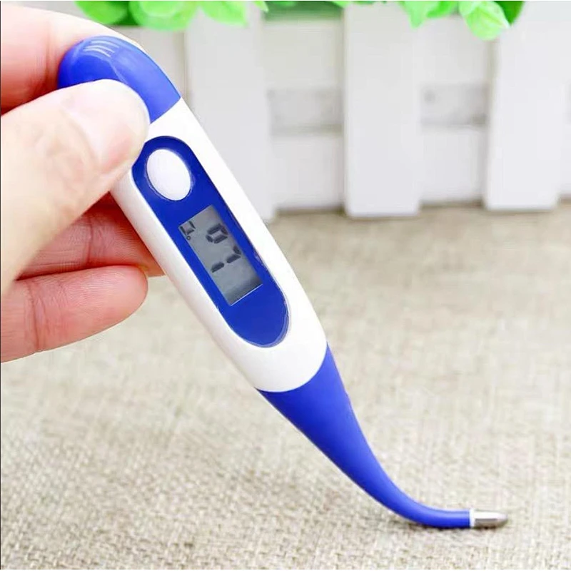 Electronic thermometer