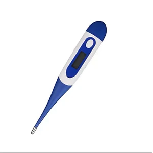 Electronic thermometer