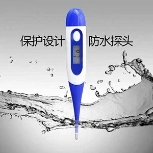 Electronic thermometer