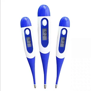 Electronic thermometer