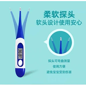 Electronic thermometer