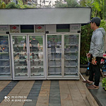 Dove dovrebbe essere messo in funzione il distributore automatico di frigoriferi intelligenti per frutta e verdura?