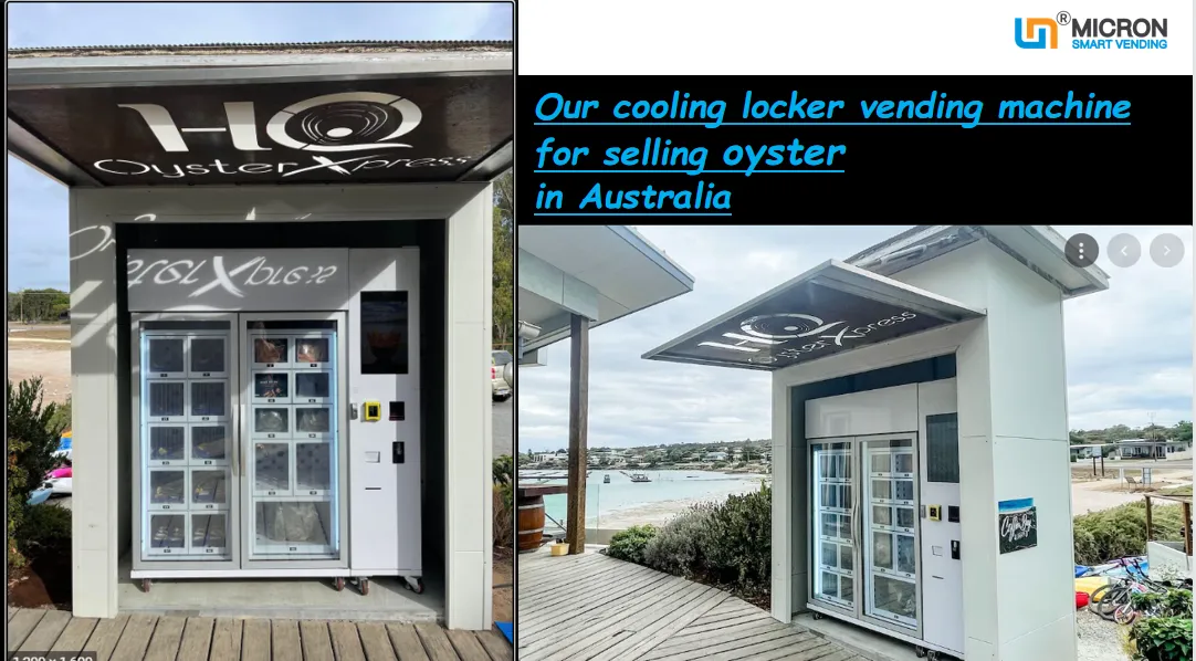 Oyster locker oyster vending machine, vending machine, vending machine on the beach, seafood vending machine