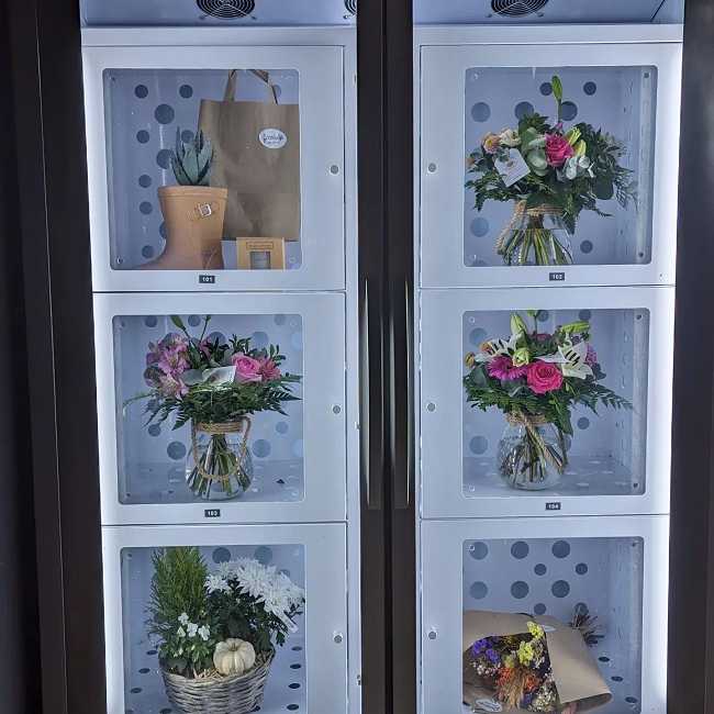 Micron smart cooling locker for selling plants flower in France