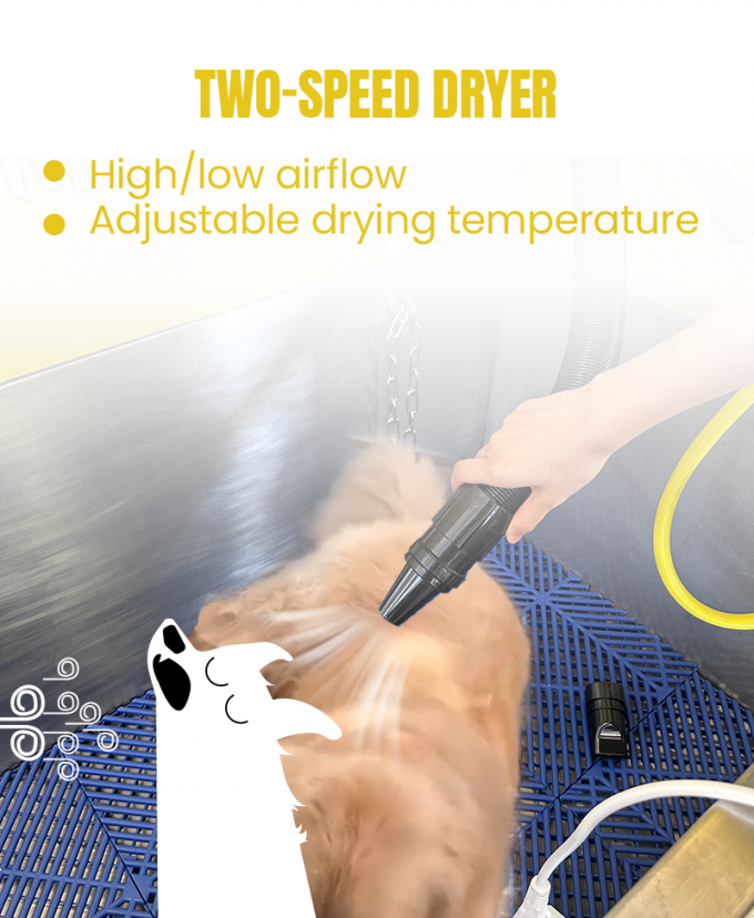 There are 2 speed of the air dryer.