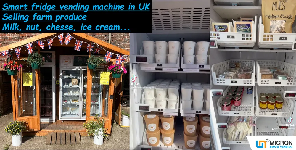 ice cream vending machine,freezer vending machine,retail vending,retail vending machine,smart vending machine