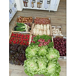 Which is the best Farm produce vending solution? Cooling vending locker or Smart fridge vending machine. 2022.12.6